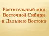 Растительный мир Восточной Сибири и Дальнего Востока