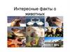 Интересные факты о животных