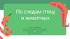 По cледам птиц и животных
