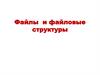 Файлы и файловые структуры