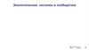 Экологические системы и сообщества