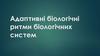 Адаптивні біологічні ритми біологічних систем