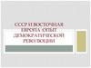 СССР и Восточная Европа. Опыт демократической революции