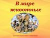 в мире животных