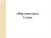 Мир животных. Группы животных