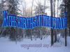 Жизнь животных и птиц зимой