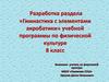 Гимнастика с элементами акробатики