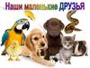 Наши маленькие друзья