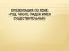 Род, число, падеж, склонение имён существительных