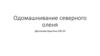 Одомашнивание северного оленя