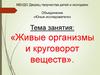 Живые организмы и круговорот веществ