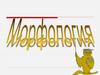 Морфология