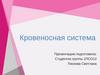Кровеносная система