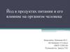 Йод в продуктах питания и его влияние на организм человека