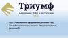 Таможенное оформление, основы ВЭД. Классификация товаров. Предварительные решения ТО