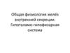 Общая физиология желёз внутренней секреции. Гипоталамо-гипофизарная система