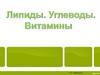 Липиды. Углеводы. Витамины