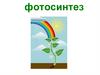 Фотосинтез