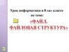 Файловая структура компьютера. 8 класс