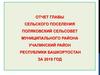 Отчет главы сельского поселения