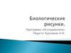 Биологические рисунки