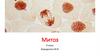 Митоз. 9 класс