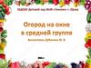 Огород на окне в средней группе