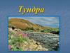 Тундра