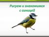 Рисуем и знакомимся с синицей