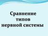 Сравнение типов нервной системы