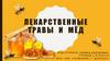 Лекарственные травы и мёд