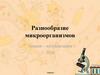 Разнообразие микроорганизмов