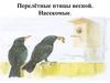 Перелётные птицы весной. Насекомые. ИЗО