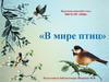 В мире птиц