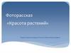 Фоторассказ «Красота растений». 2 класс