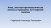 Кома. Анатомо-физиологические основы и принципы интенсивной терапии
