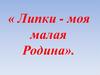 « Липки - моя малая Родина»
