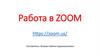 Работа в ZOOM