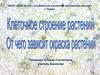 Клеточное строение растений. От чего зависит окраска растений. Фототест