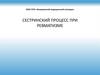 Сестринский процесс при ревматизме
