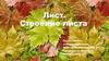 Лист. Строение листа