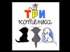 Сказка "Три котенка"