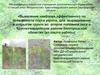 Выявление наиболее эффективного по урожайности сорта укропа, для выращивания в открытом грунте
