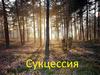 Сукцессия