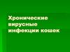 Хронические вирусные инфекции кошек