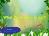 What do you like to eat