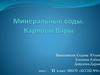 Минеральные воды. Карловы Вары
