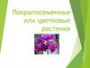 Покрытосеменные или цветковые растения