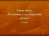 Типы почв. Понятие о плодородии почвы