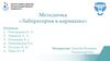 Методичка «Лаборатория в кармашке». Защита проекта